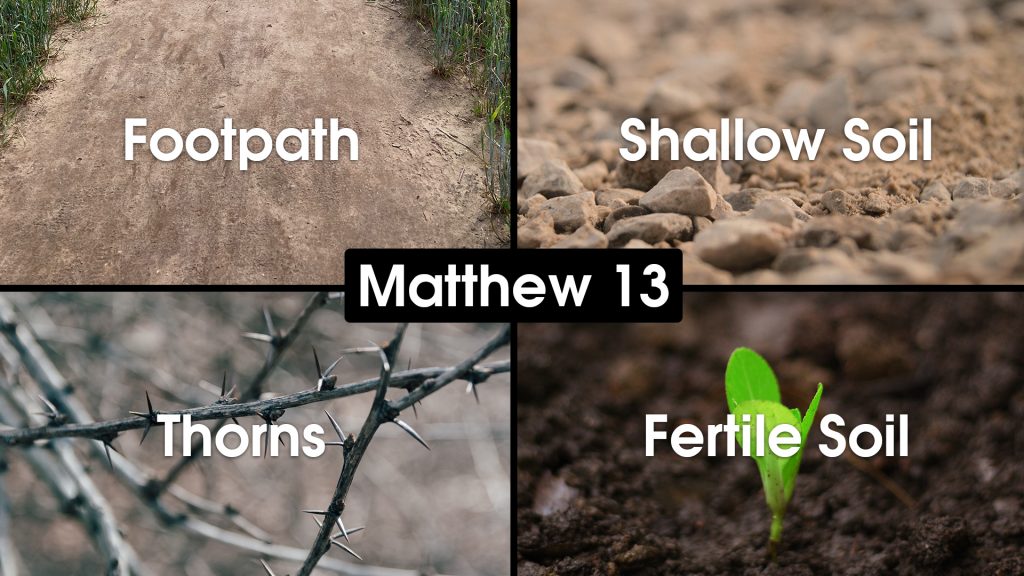 Made New - Week 3 Different soils from Matthew 13