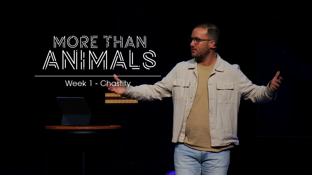 More Than Animals_Message Thumbnail_W1 New Life Gillette church Wyoming
