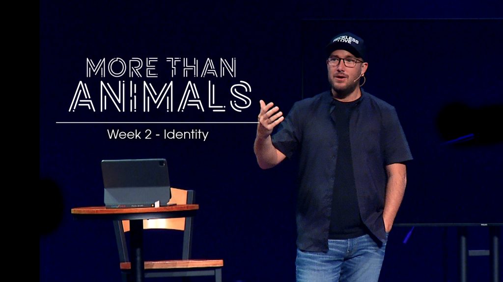 More Tan Animals_Message Thumbnail_Week 2 New Life Gillette Church